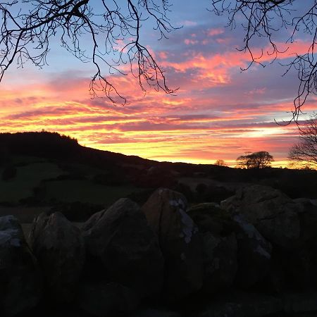 Slievemoyle Cottages Raholp Kültér fotó