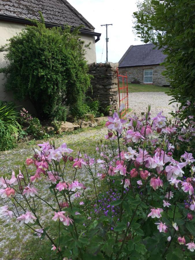 Slievemoyle Cottages Raholp Kültér fotó