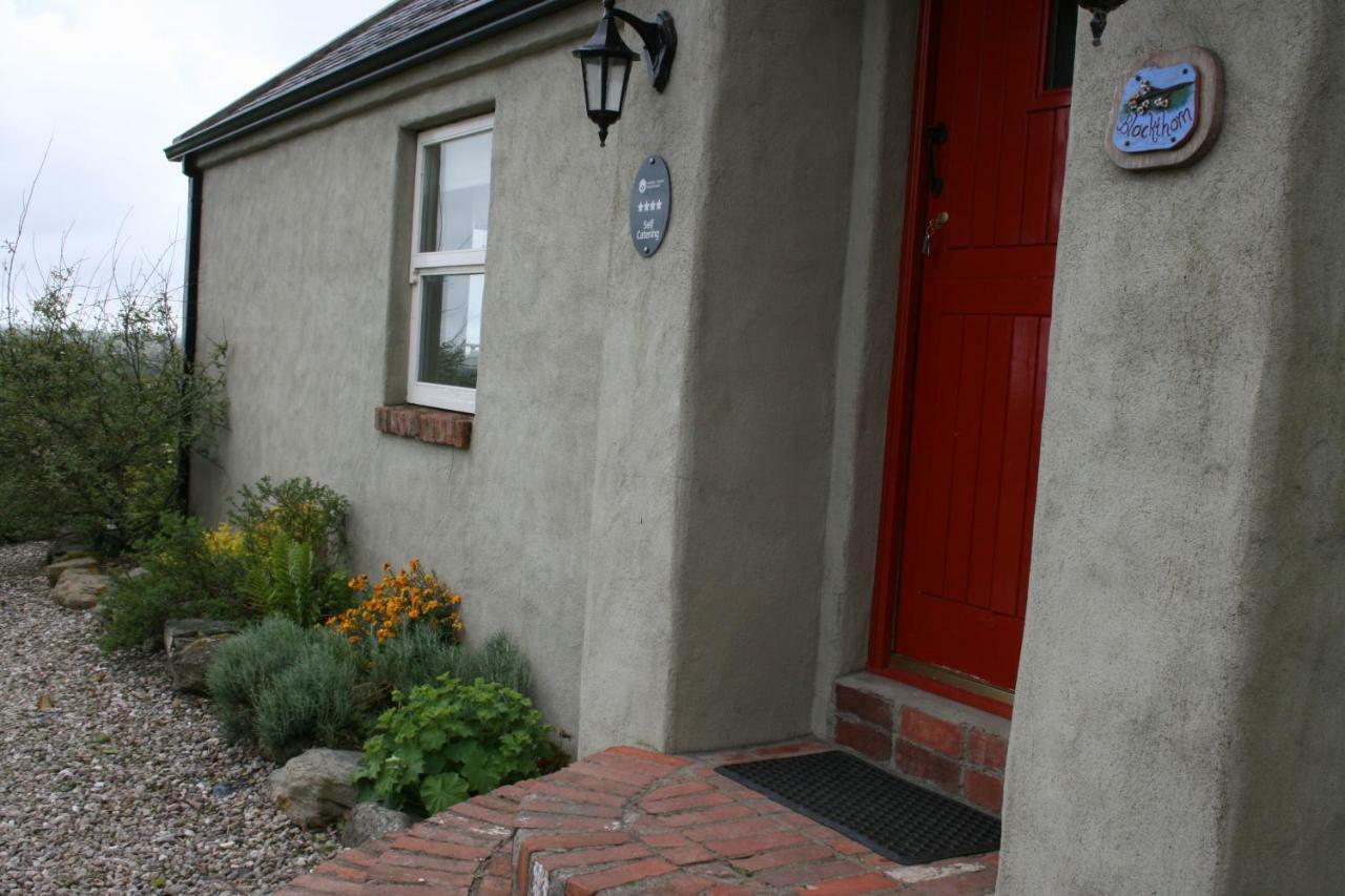 Slievemoyle Cottages Raholp Kültér fotó